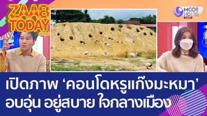 เปิดภาพ ‘คอนโดหรูแก๊งมะหมา’ อบอุ่น อยู่สบาย ใจกลางเมือง (25 พ.ย. 65) แซ่บทูเดย์