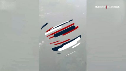 Sahilde karşılarına çıktı, uzman isim noktayı koydu! Sosyal medya merak konusu oldu