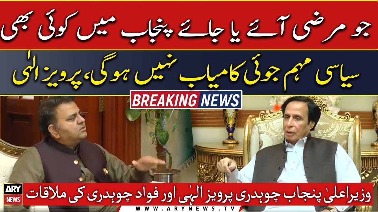 "No political adventure will succeed in Punjab", Pervaiz Elahi
