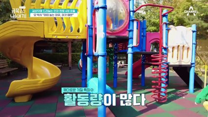 오 박사가 본 금쪽이는 '까다로운 기질'이다?! 이런 아이들의 특징은?