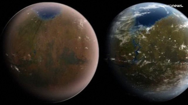 Илон Маск объявил амнистию в Твиттере после онлайн-плебисцита