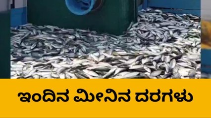 ದ.ಕ.: ನ.25; ಬಂಗುಡೆ ಕೆ.ಜಿ.ಗೆಷ್ಟು? ಬೂತಾಯಿ ರೇಟೆಸ್ಟು?; ಇಲ್ಲಿದೆ ಮಾಹಿತಿ!