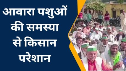 अमरोहा: भाकियू शकर की महापंचायत आयोजित, किसानों की समस्याओं पर की बात