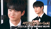 [TOP영상] 서인국(Seo In-Guk), 레드카펫 위를 걷는 조각상(221125 청룡영화상 레드카펫)