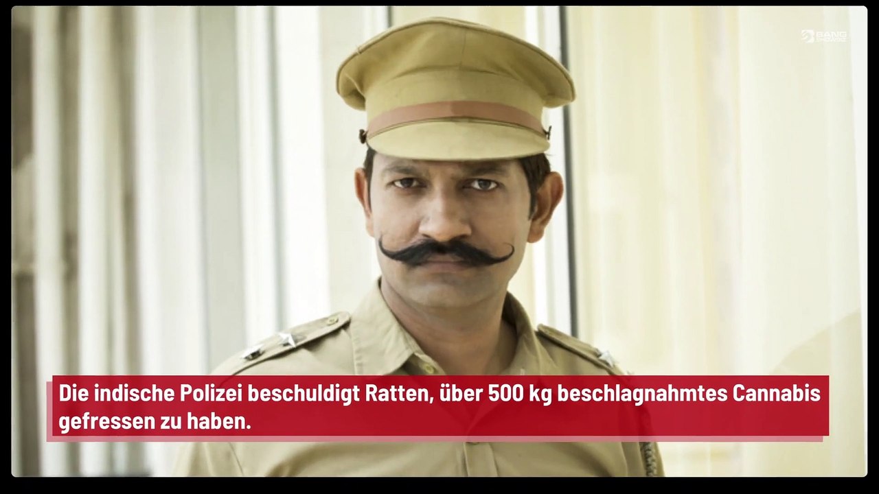 Polizei beschuldigt Ratten, beschlagnahmte illegale Substanzen gestohlen zu haben