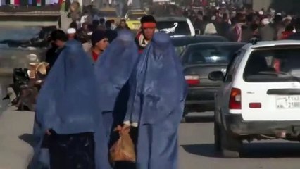 Love Crimes Of Kabul Bande-annonce (EN)