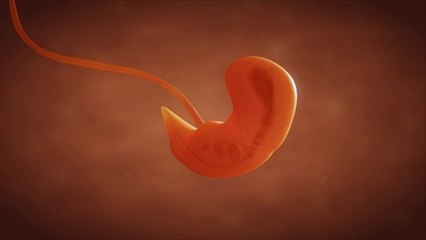 États-Unis : des jumeaux nés à partir d'embryons congelés en 1992