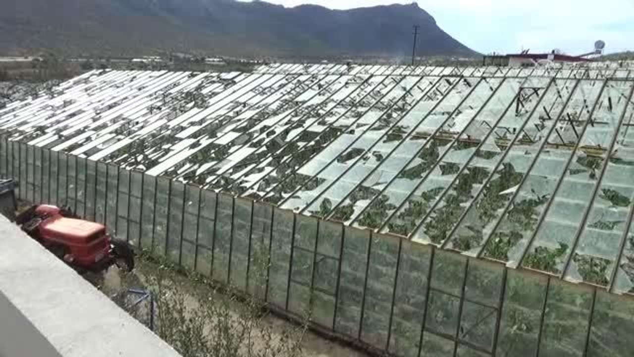 Doludan etkilenen alanlarda hasar tespit çalışmaları sürüyor