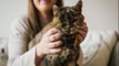 London pet breaks record as world's oldest living cat