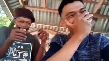 Video kucing lucu dikerjain Lagi Tidur