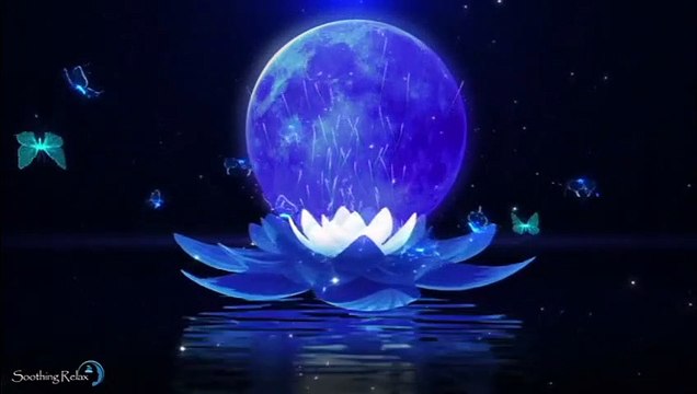 Dormir Rapidement et Profondement Sommeil Très Profond Musique Pour Dormir en Moins De 5 Minutes