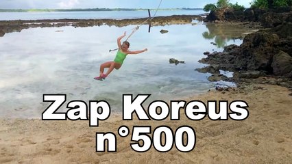 Zap Koreus n°500