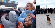 Konya’daki hayvan barınağında bir skandal daha: Kedileri ağzı sıkıca bağlanmış poşetlere koymuşlar