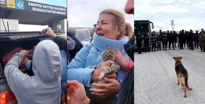 Konya’daki hayvan barınağında bir skandal daha: Kedileri ağzı sıkıca bağlanmış poşetlere koymuşlar