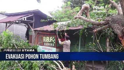 Pohon Tumbang Akibat Angin Ribut Menyebabkan Satu Unit Warung Mengalami Rusak Ringan
