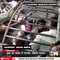 Mumbai की लोकल ट्रेन में मारपीट, वीडियो हुआ वायरल
