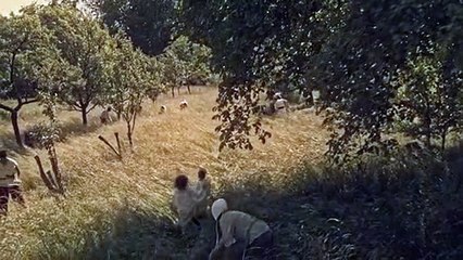 Edahlion, le royaume orphelin Teaser VF