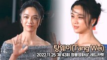 [TOP영상] 탕웨이(Tang Wei), 여신의 레드카펫(221125 청룡영화상 레드카펫)