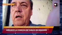 Arrancó la cosecha de tabaco en Misiones