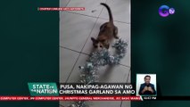 Pusa, nakipag-agawan ng Christmas garland sa amo | SONA