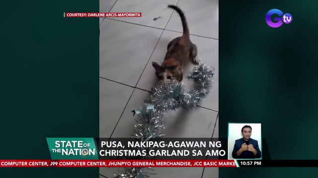 Pusa, nakipag-agawan ng Christmas garland sa amo | SONA