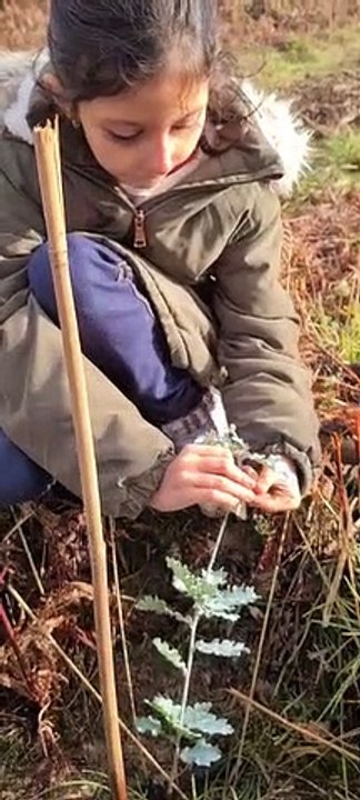 Les élèves de CE2 de l'école St Exupéry de Joigny plantent des arbres avec France Bleu Auxerre