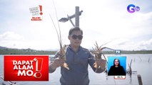 ‘Lobster Town’ sa Surigao Del Norte, paano pinararami ang seafood na ito? | Dapat Alam Mo!