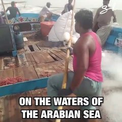 fishermen tackle huge wave