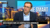 BE SMART - L'interview de Dominique Chargé (La Coopération Agricole) par Aurélie Planeix