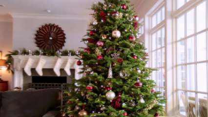 This is the right time to put up your Christmas tree, as per experts