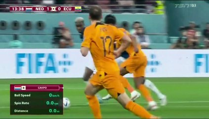 WORLD CUP 2022 HIGHLIGHTS NEDERLAND VS ECUADOR