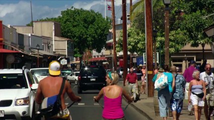 Blue Realm - Humpback Whales in Danger