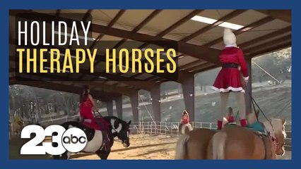 Healing therapy horses dressed up for the holiday season
