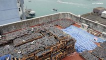 International authorities take 'historic' step to curb shark fin trafficking