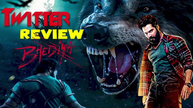 Bhediya Twitter Review: Varun Dhawan और Kriti Sanon की Bhediya को कहा नकल करने की घटिया कोशिश ||