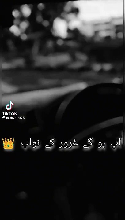 VID-20221120-WA0106