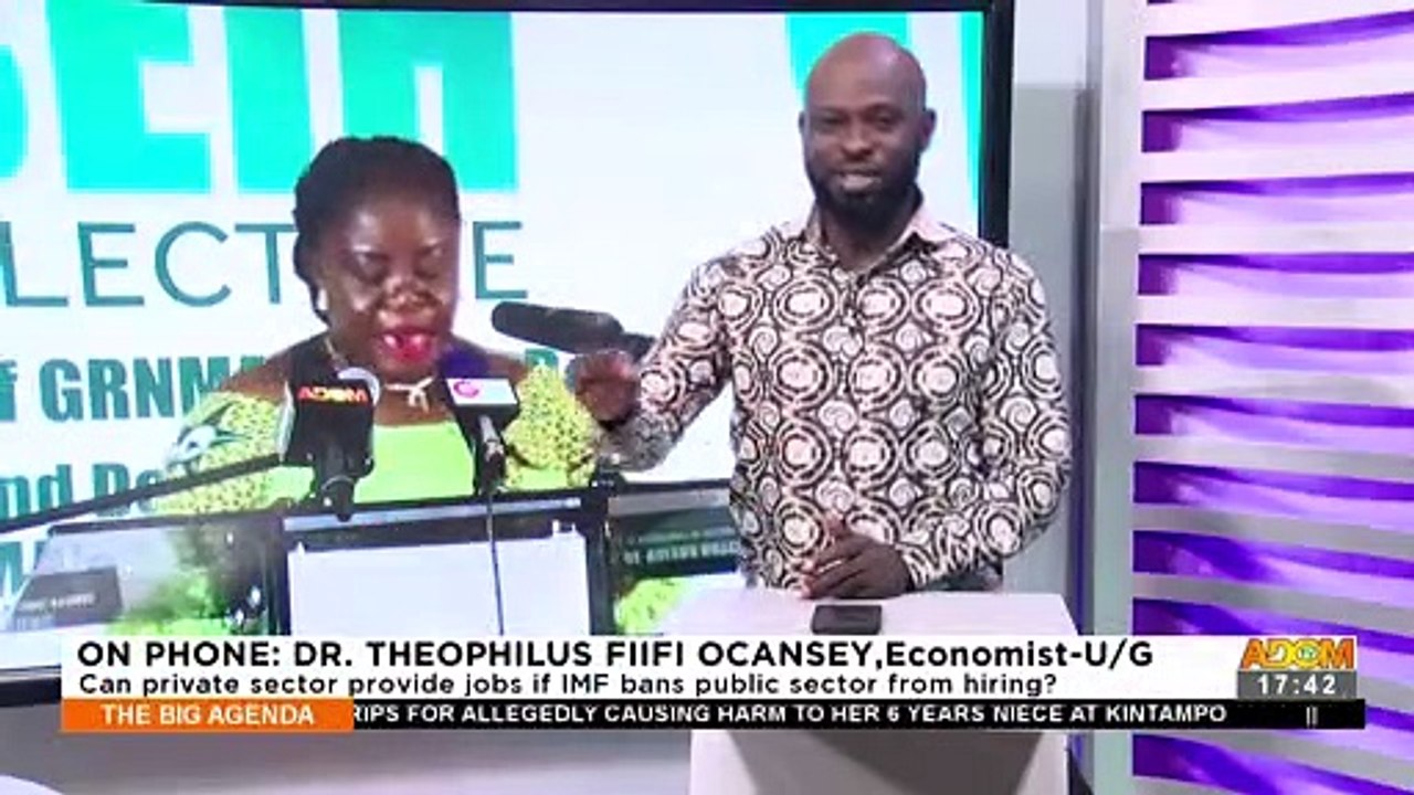 2023 Austerity Measures: Can private sector provide jobs if IMF bans public sector from hiring? - The Big Agenda on Adom TV (25-11-22)
