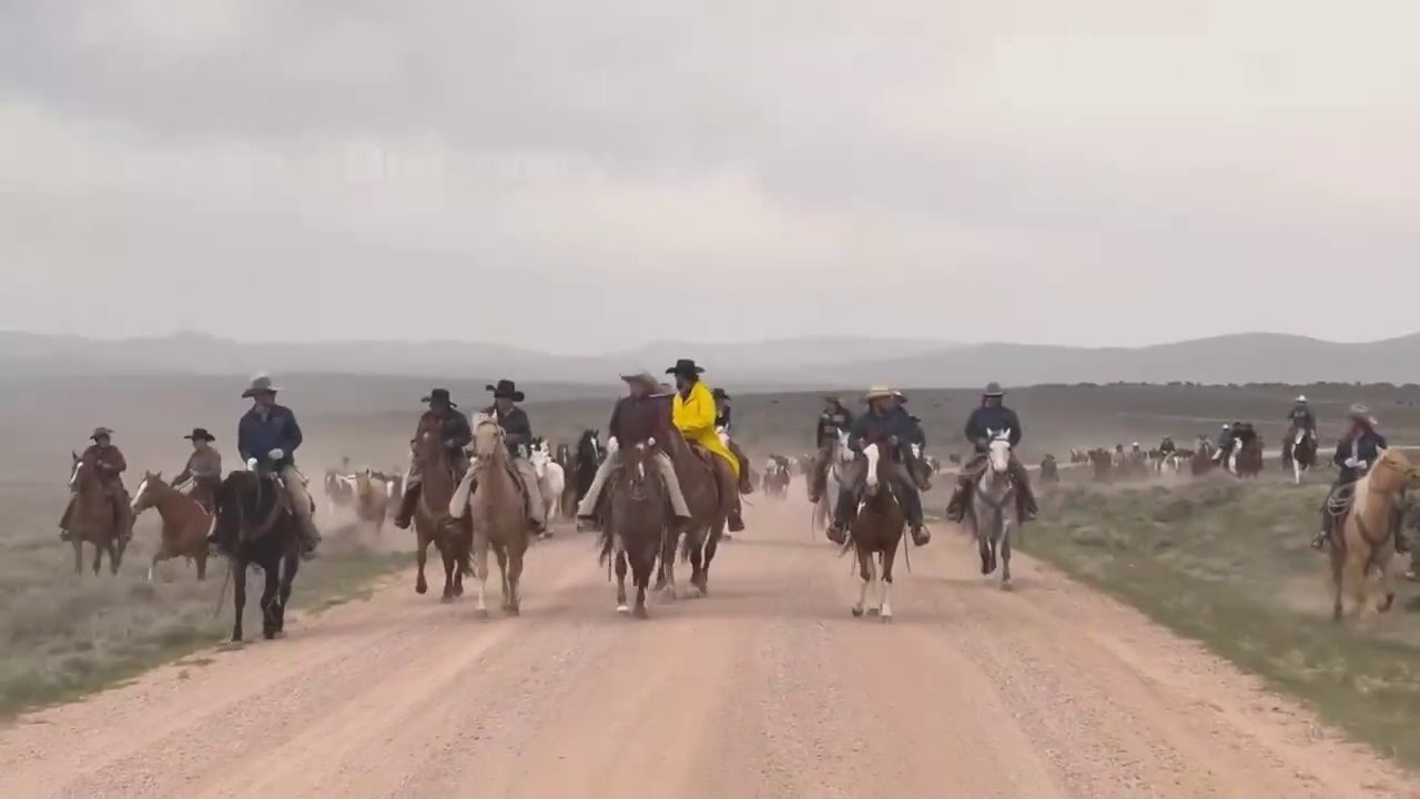 How Do American Ranchers Raise 9.2 Million Horses - American Horse Ranch