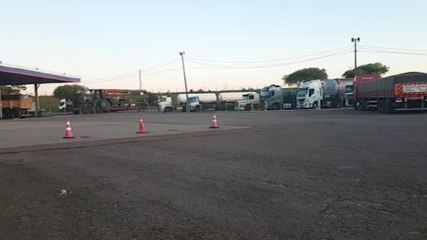 Bombeiros tentam resgatar cachorro com espinhos na boca