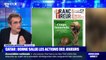 "Le sport est politique par définition": Raphaël Enthoven dénonce une formule "malheureuse" d'Emmanuel Macron sur la Coupe du monde au Qatar