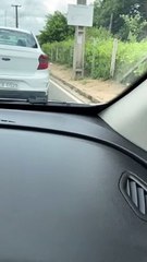 Snake Tries to Hitch a Ride Under Car Hood