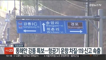 동해안 강풍특보…항공기 운항 차질·119 신고 속출