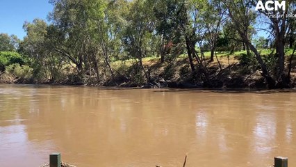 Cowra Low Level Bridge|November 26, 2022|Cowra Guardian
