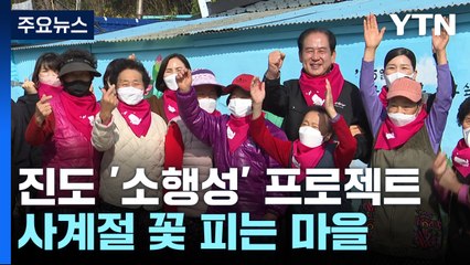 '소·행·성' 별이 뜨는 진도...사계절 꽃 피는 살고 싶은 마을 / YTN