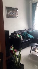 Dancing Doggy Persuades Mom Into A Walk