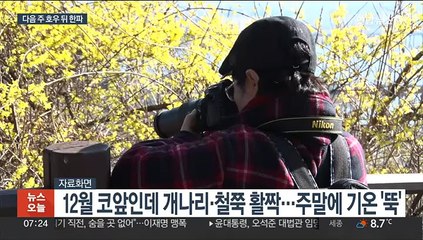 이상 고온 끝 겨울 성큼…주초 호우 뒤 한파·눈