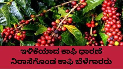 ಕೊಡಗು: ಸಂಕಷ್ಟಕ್ಕೀಡಾದ ಕಾಫಿ ಬೆಳೆಗಾರರು..ಹೇಗಿದೆ ಗೊತ್ತಾ ರೇಟ್..?