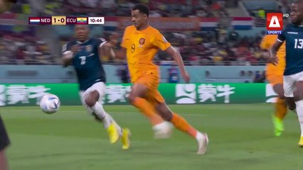 Highlights- Netherlands vs Ecuador - FIFA World Cup Qatar 2022™