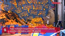 Bursa'da kontrolden çıkan TIR devrildi, tonlarca mandalina yola saçıldı
