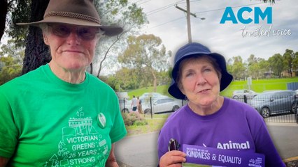 Volunteers reflecting on respectful behaviour at polls